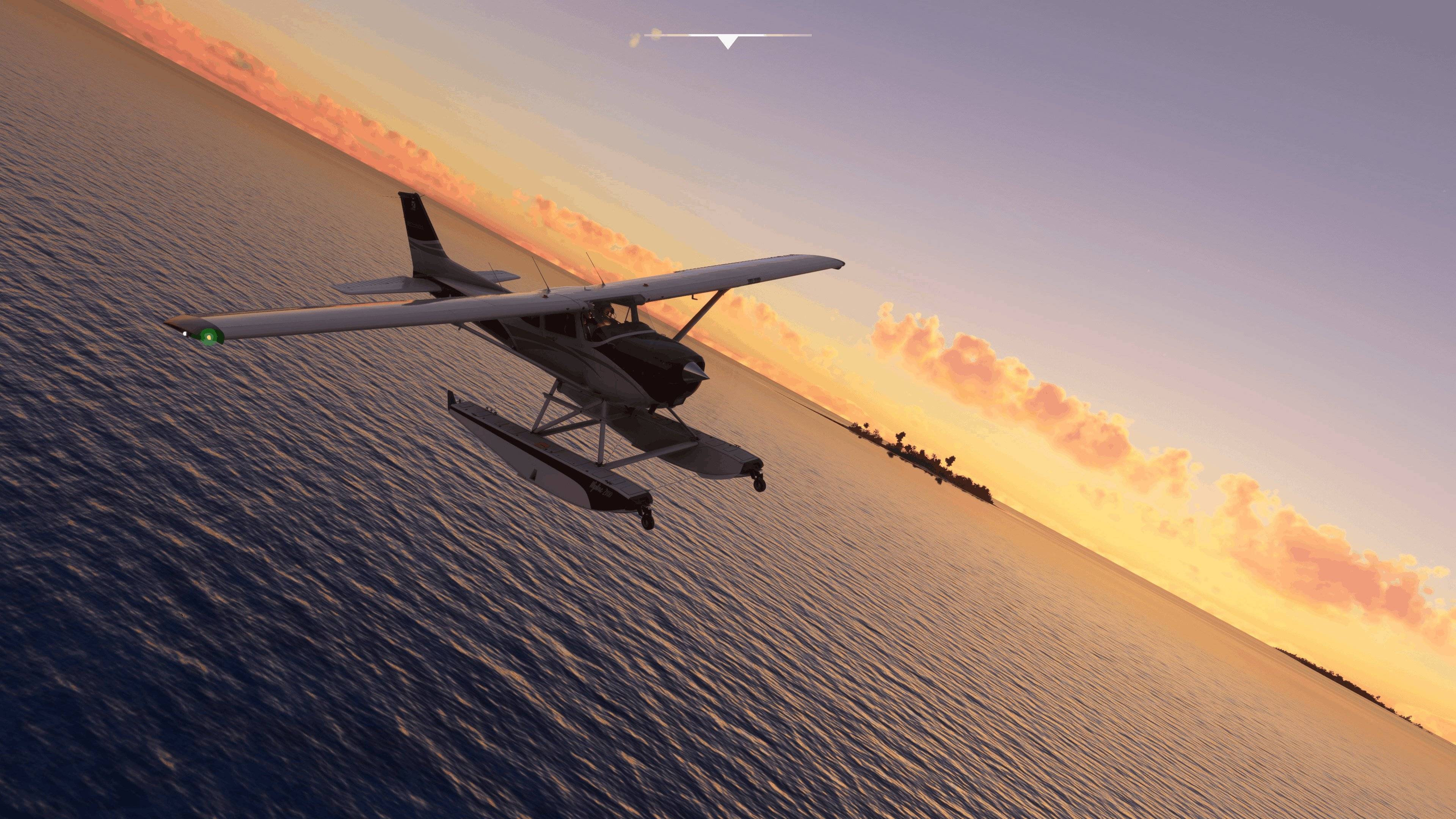 Microsoft Flight Simulator